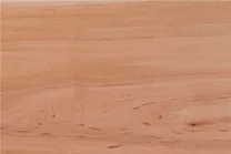 赤身
