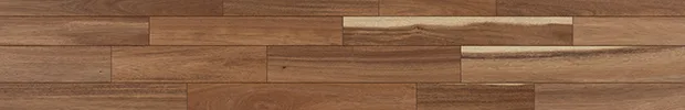 アカシア